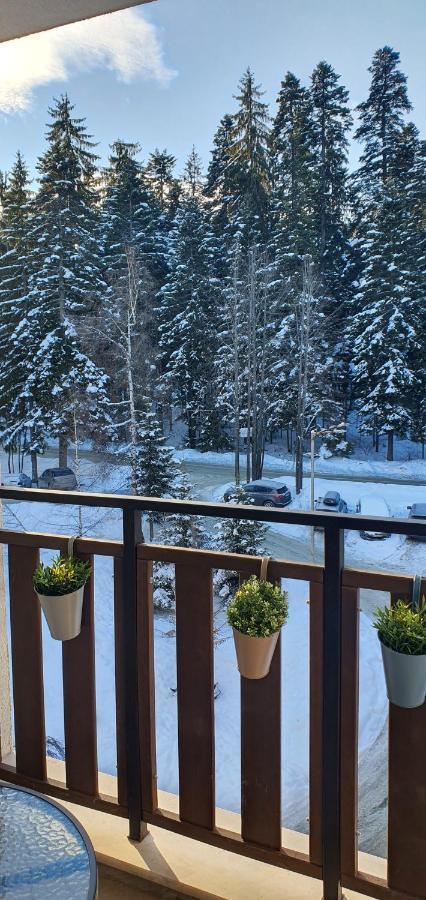 Borovets Cozy Mountain Apartments Buitenkant foto