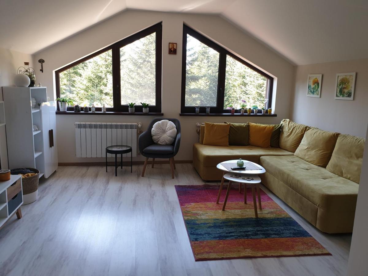 Borovets Cozy Mountain Apartments Buitenkant foto