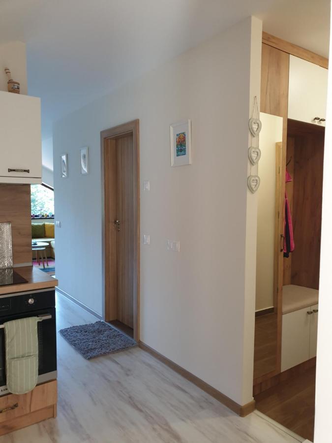 Borovets Cozy Mountain Apartments Buitenkant foto
