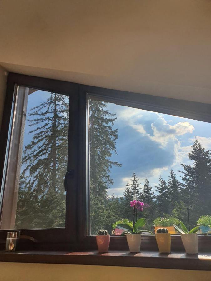Borovets Cozy Mountain Apartments Buitenkant foto